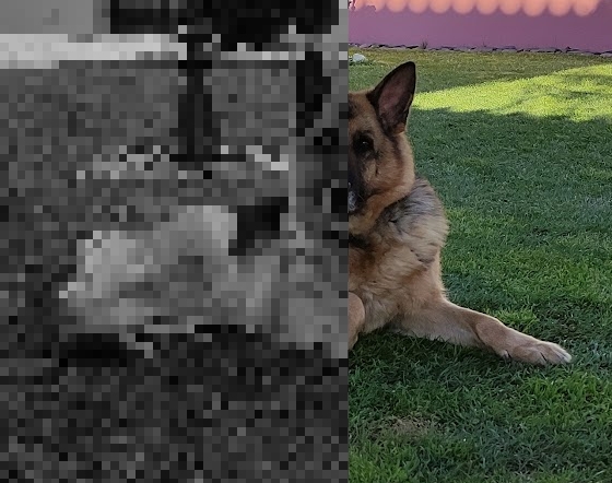 image pixelated greyscale